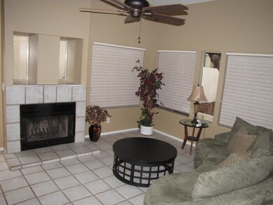 Fireplace in the living room