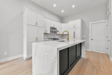 541 Massachusetts Ave unit 3, Boston, MA 02118 - photo 5