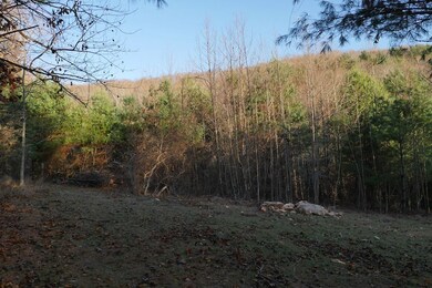 0 Trapper Dr unit LotWP001, Woodlawn, VA 24381 - photo 4