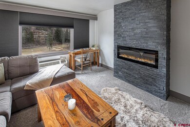 314 N Tamarron Dr unit 327, Durango, CO 81301 - photo 3