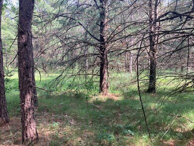 4825 W 8th St, Baldwin, MI 49304 - photo 3