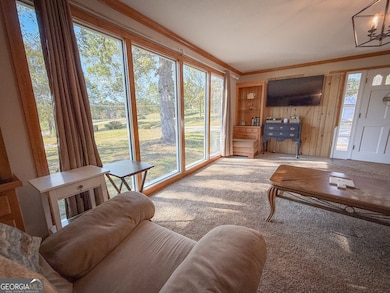 4850 New Liberty Rd, Clarkesville, GA 30523 - photo 5