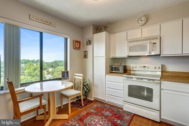 The Fairways unit 6805, Silver Spring, MD 20906 - photo 7