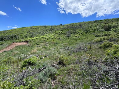 475 E Paradise, Indianola, UT 84629 - photo 5