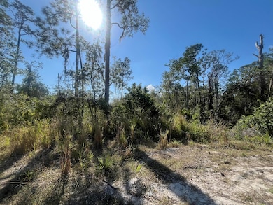 238 Swift Ave, Sebring, FL 33870 - photo 3