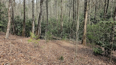 0 Falls Rd unit 1000715, Scaly Mountain, NC 28775 - photo 5