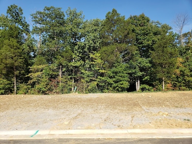 40 Kilner Goodlet Ct, Mount Washington, KY 40047 - photo 4