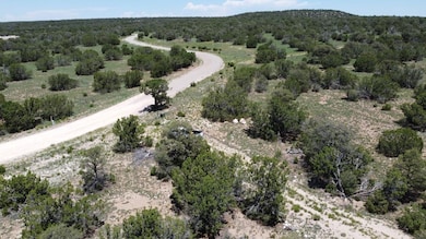 Lot 16 Swayback Trail, Corona, NM 87047 - photo 5