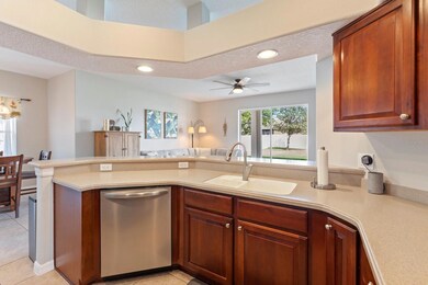 5001 Tempic Dr, Mount Dora, FL 32757 - photo 7