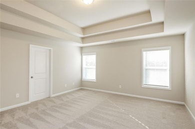 Carpeted spare room featuring a tray ceiling and b