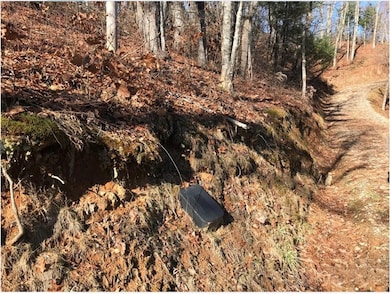 0 Saturn Way unit 26041777, Topton, NC 28781 - photo 6