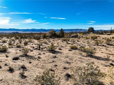 123 La Crescenta Dr, Joshua Tree, CA 92252 - photo 2