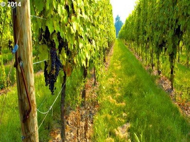 2475 W Wind Dr unit 11, McMinnville, OR 97128 - photo 6