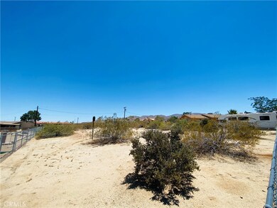 6931 Ivanpah Ave, Twentynine Palms, CA 92277 - photo 4