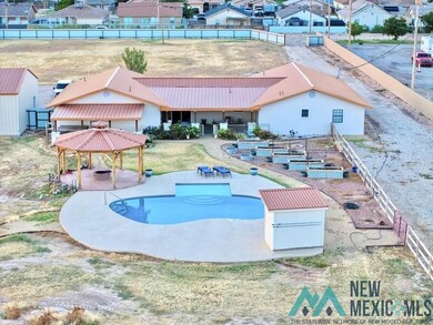 1007 Carnation Aly, Carlsbad, NM 88220 - photo 5