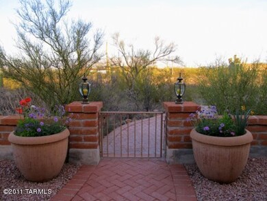 tucson owls 057