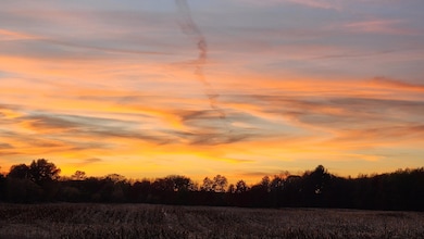 Par A Monroe Rd, Lakeview, MI 48850 - photo 3