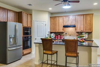 3822 Ox-Eye Daisy, San Antonio, TX 78261 - photo 3