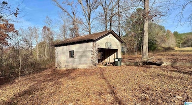 455 Hindman Ln, Talladega, AL 35160 - photo 5