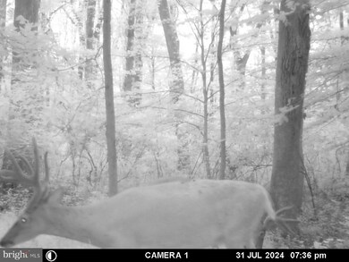 224 Spring Rd, Millington, MD 21651 - photo 5