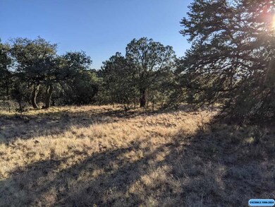 21 Vesuvius Way, Silver City, NM 88061 - photo 4