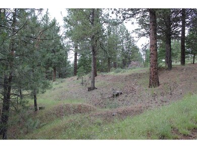 0 Pineview Ln, Canyon City, OR 97820 - photo 4