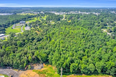 659 Arlington Rd, Greer, SC 29651 - photo 6