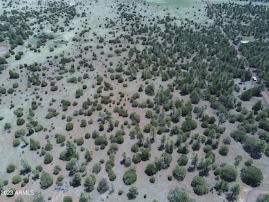 TBD Acr N3263 Parcel 1 -- unit 34, Vernon, AZ 85940 - photo 2