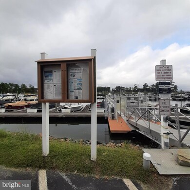 29664 Colony Dr unit F-20, Dagsboro, DE 19939 - photo 6