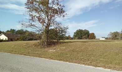 3172 N Boswell Terrace, Hernando, FL 34442 - photo 3