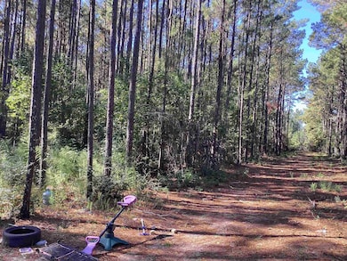 0 County Road 3038, Newton, TX 75966 - photo 6