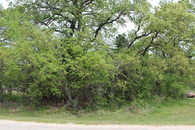 1017 Meadow Oaks St, Azle, TX 76020 - photo 4