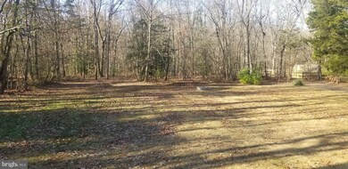 871 Reed Ave, Franklinville, NJ 08322 - photo 7