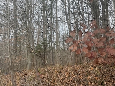 0 Paradise Rd unit 58029, Farmville, VA 23901 - photo 6