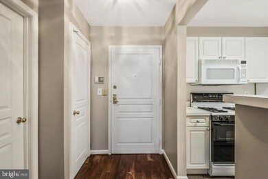 Savoy Park unit 211, Falls Church, VA 22041 - photo 6