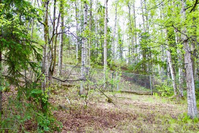 large lot that backs to undeveloped land
