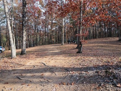 1681 Carters Rd unit 109, Chatsworth, GA 30705 - photo 2