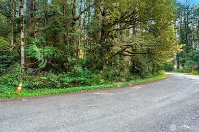 75601 NE 122nd St, Skykomish, WA 98288 - photo 3