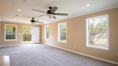 419 Wittman-101
