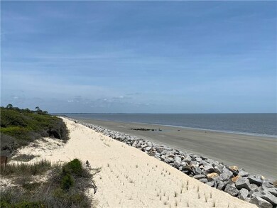 New Plantings, Rocks and Sand! Jekyll Island Beach