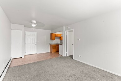 828 North St unit . 11, Mount Morris, MI 48458 - photo 5