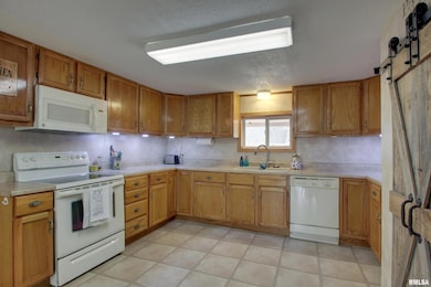 903 W Jefferson St, Pittsfield, IL 62363 - photo 3