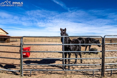 24225 Myers Rd, Colorado Springs, CO 80928 - photo 6
