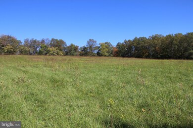 0 Sadlick Lot K Rd unit VAWR2009770, Strasburg, VA 22657 - photo 4