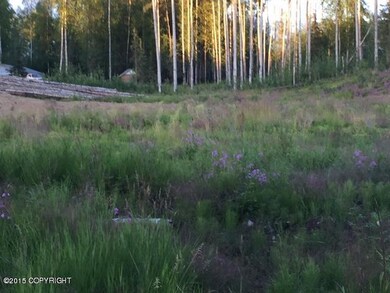 3981 S Tailwind Cir, Big Lake, AK 99652 - photo 3