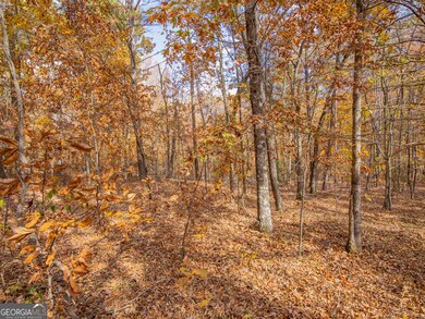 0 Galway Dr unit 10650912, Kingston, GA 30145 - photo 3