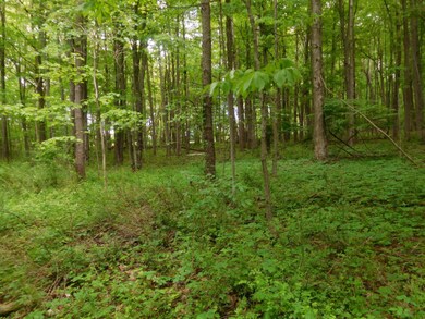 DSCN3046_4929