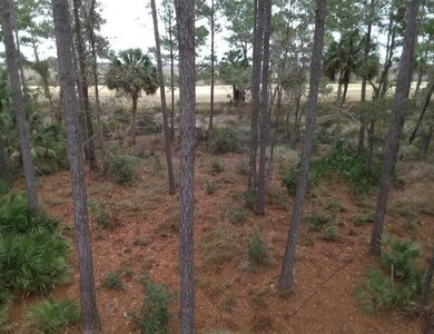 View from from of lot