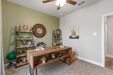 2408 Briscoe Ranch Dr, Hudson Oaks, TX 76087 - photo 5