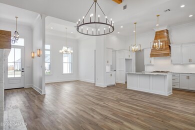 311 Canary Palm -4